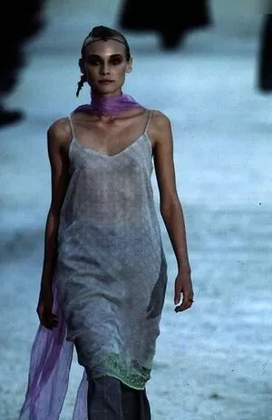 Diane Kruger / dianekruger nude photo #0311