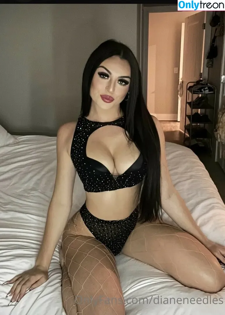 dianeneedles nude photo #0055 (diane.needles)