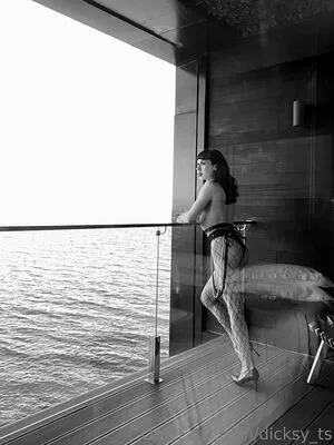 dicksy_ts / di.wok фото голая #0079
