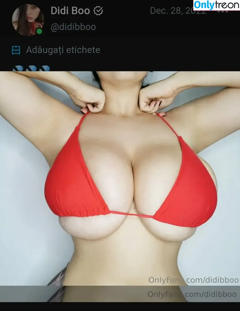 Didi Boo nude photo #0023 (didibboo / dya_didibboo)