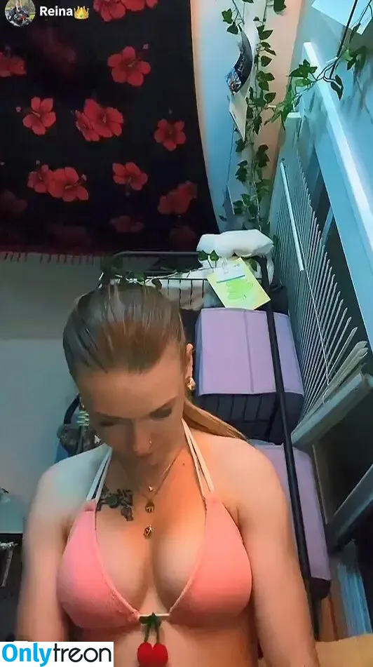 dino_nuggies_backup_acc2 nude photo #0001 (dino_nuggies_69_420)