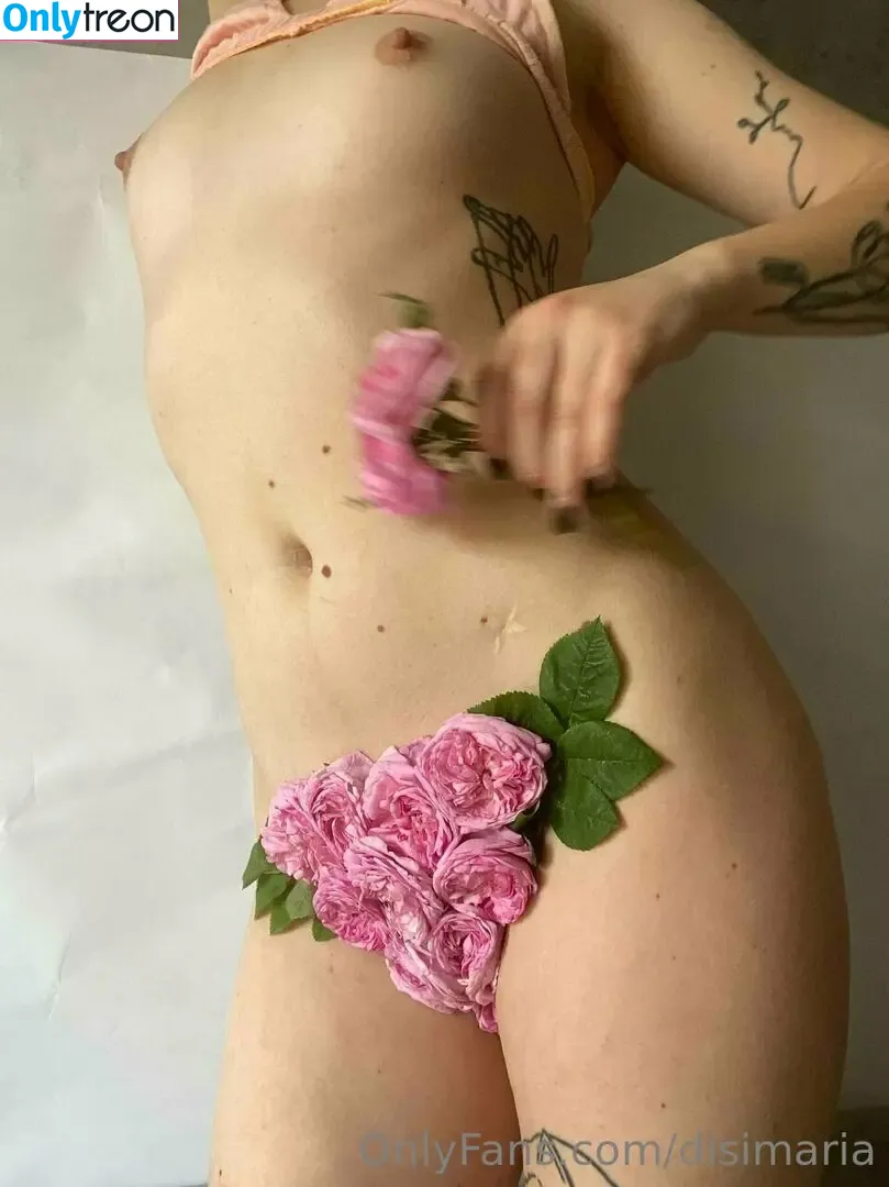Disiosibi nude photo #0007 (Disimaria / disiosibii)