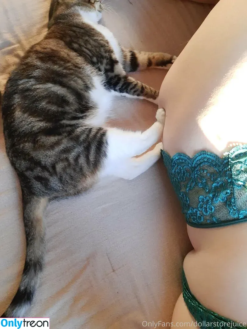 dollarstorejuice nude photo #0037 (borislegend)