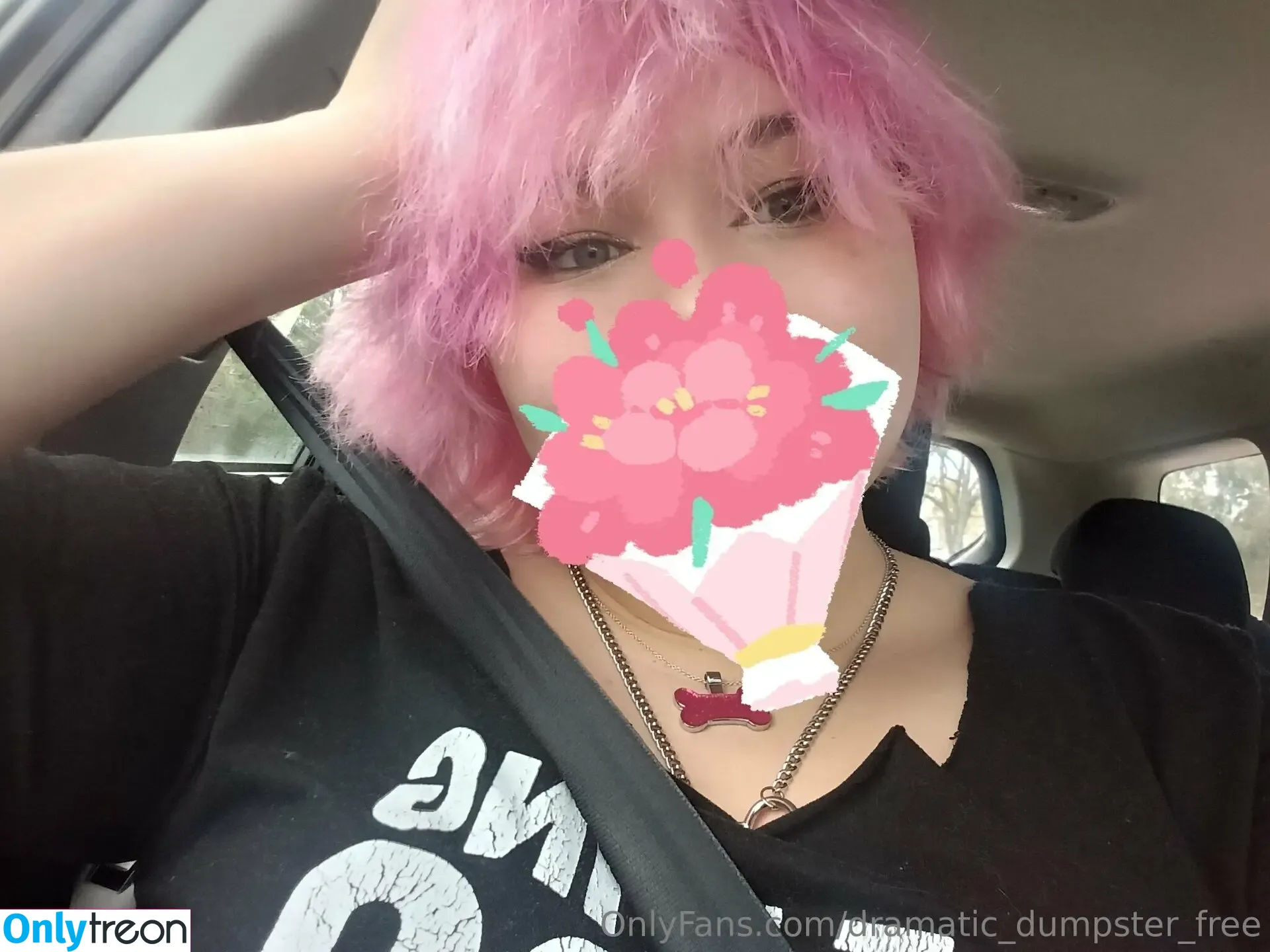 dramatic_dumpster_free голая photo #0121 (dramatic_dumpster_free)