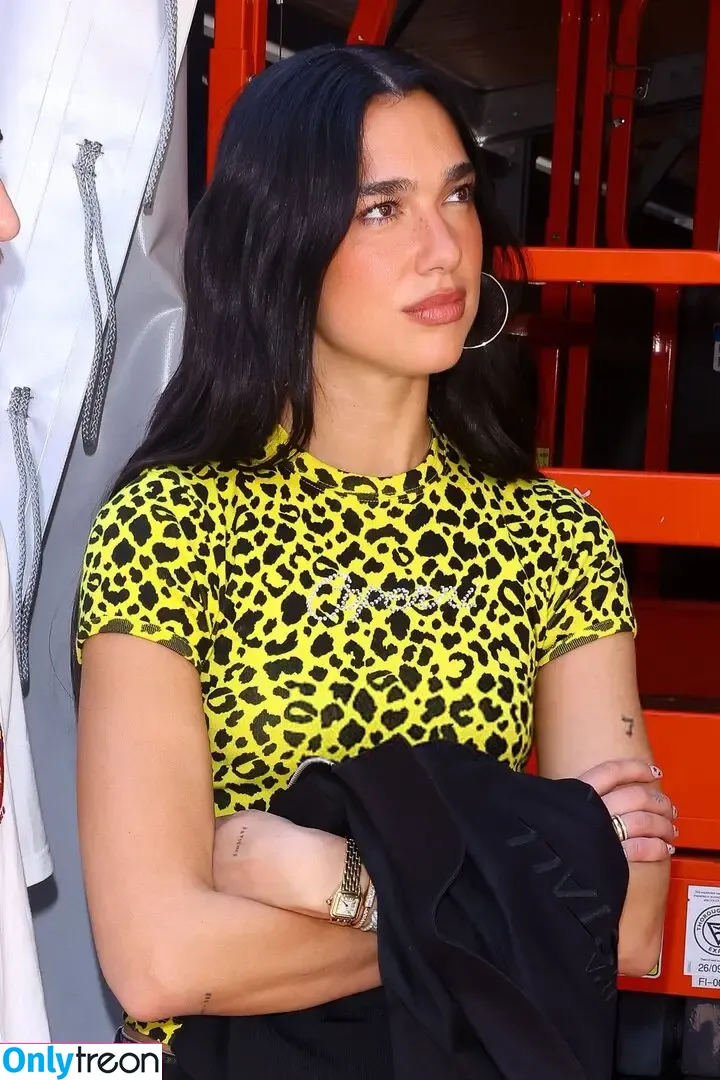Dua Lipa nude photo #8891 (dua.lipa / dualipa)