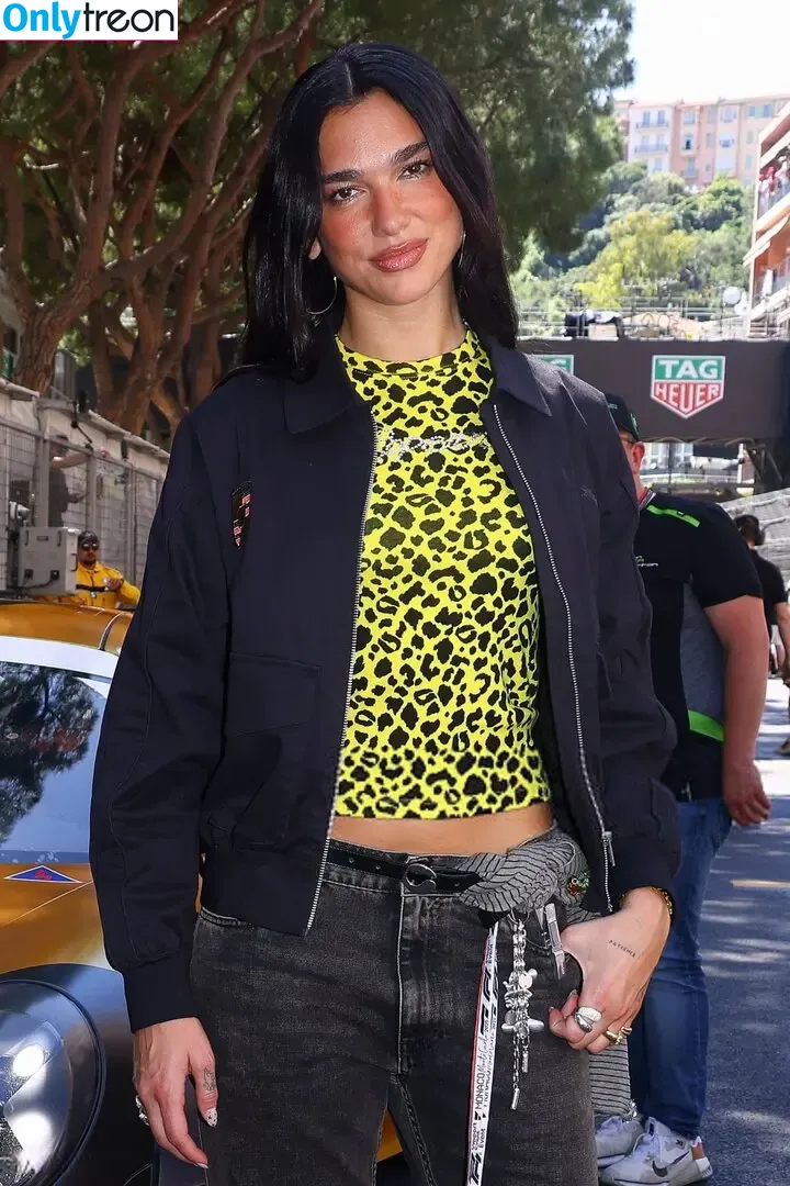 Dua Lipa nude photo #8895 (dua.lipa / dualipa)