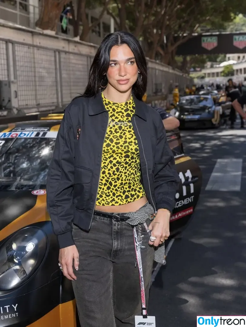 Dua Lipa nude photo #8903 (dua.lipa / dualipa)