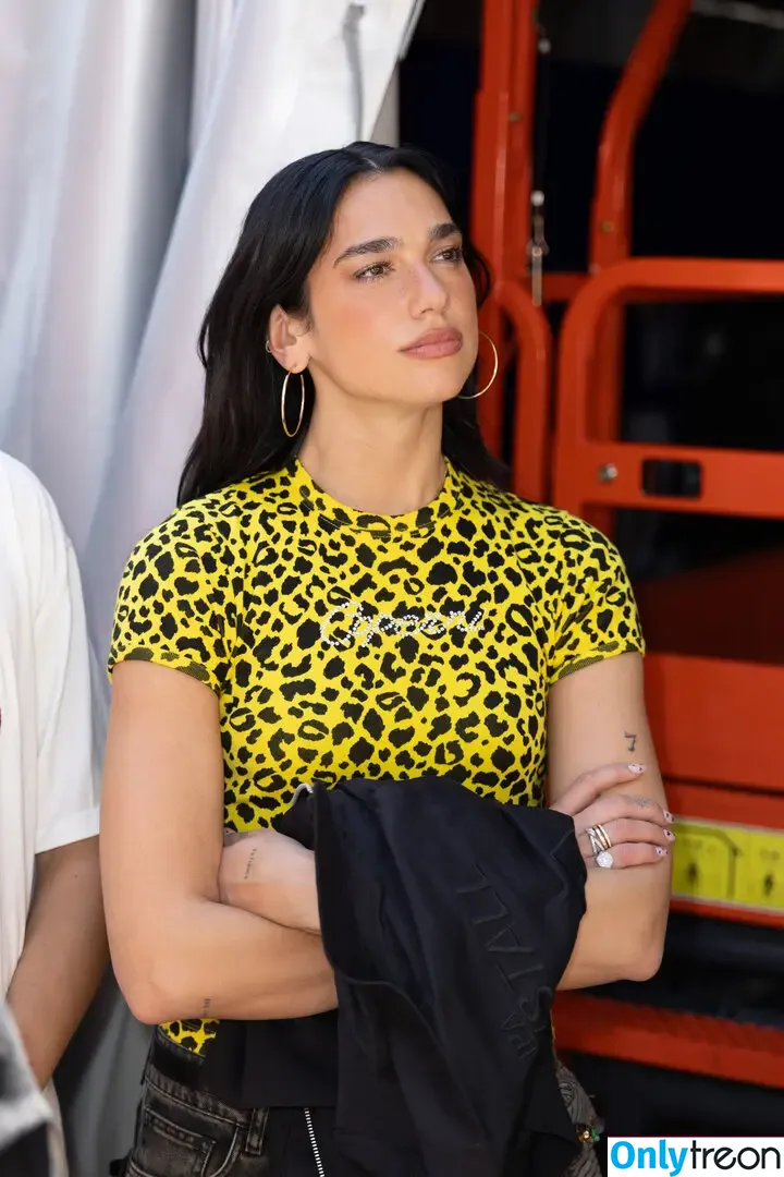 Dua Lipa nude photo #8908 (dua.lipa / dualipa)