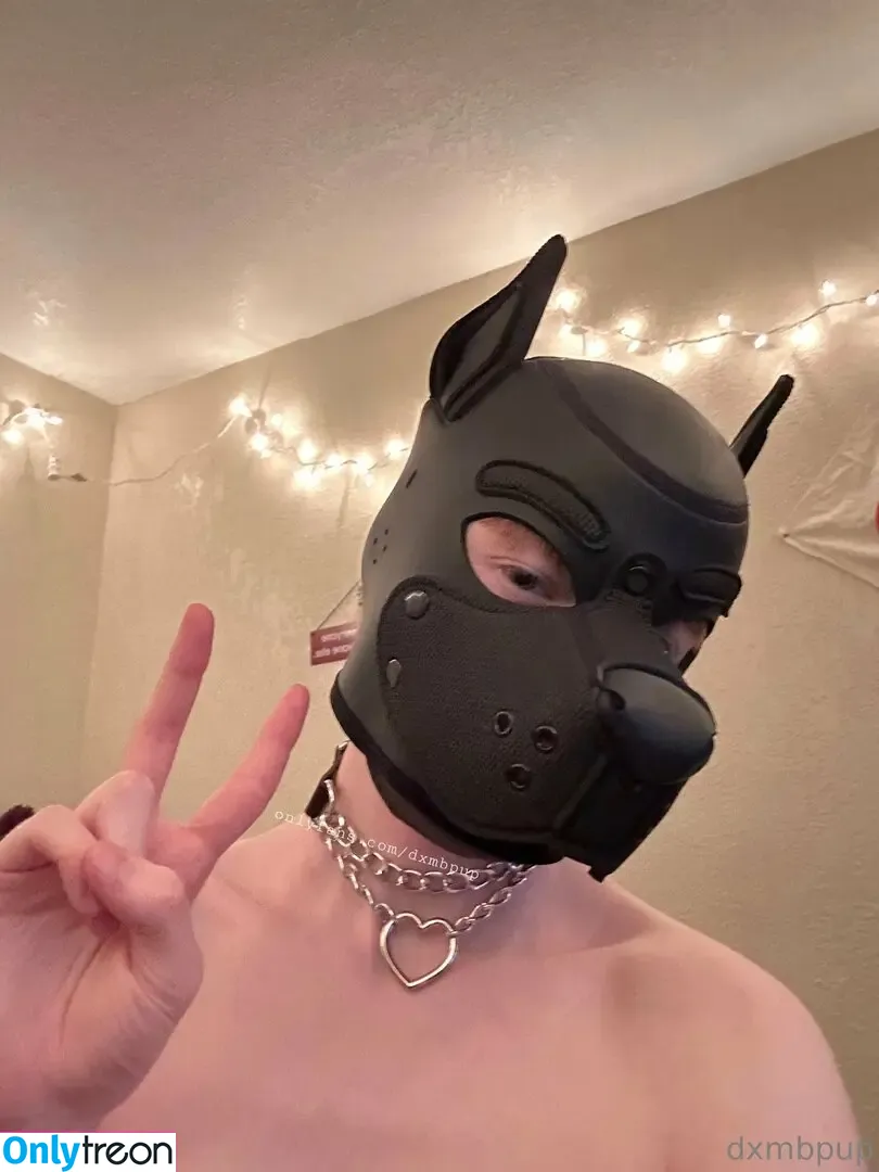 dxmbpup nude photo #0026 (dxmbpup)