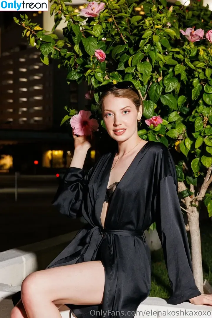 Elenakoshkaxoxo nude photo #0378 (therealelenakoshka)