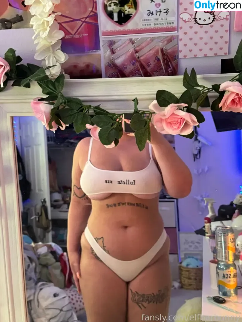 elfbarbunny nude photo #0068 (elfbarbunny)