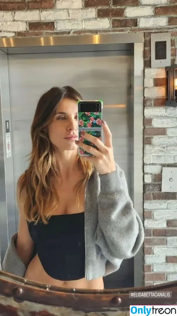 Elisabetta Canalis nude photo #1334 (JustElisabetta / littlecrumb_)