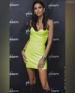 Elisabetta Gregoraci / elisabettagregoracireal фото голая #0170