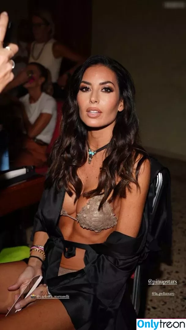 Elisabetta Gregoraci nude photo #0162 (elisabettagregoracireal)