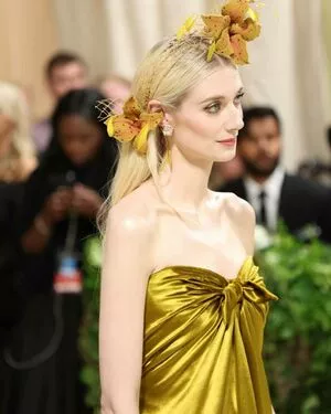 Elizabeth Debicki / elizabethdebickinators nude photo #0149