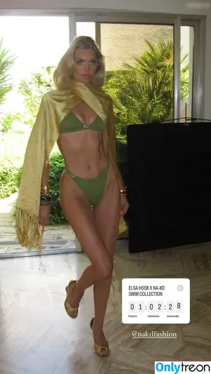 Elsa Hosk / elsahosk / hoskelsa nude photo #2452