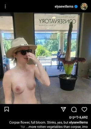Elyse Willems / elysewillems nude photo #0025