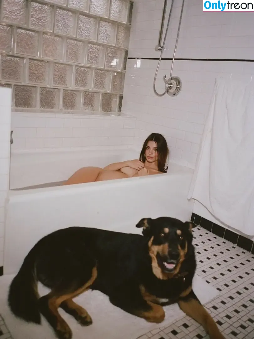Emily Ratajkowski nude photo #8410 (emrata)