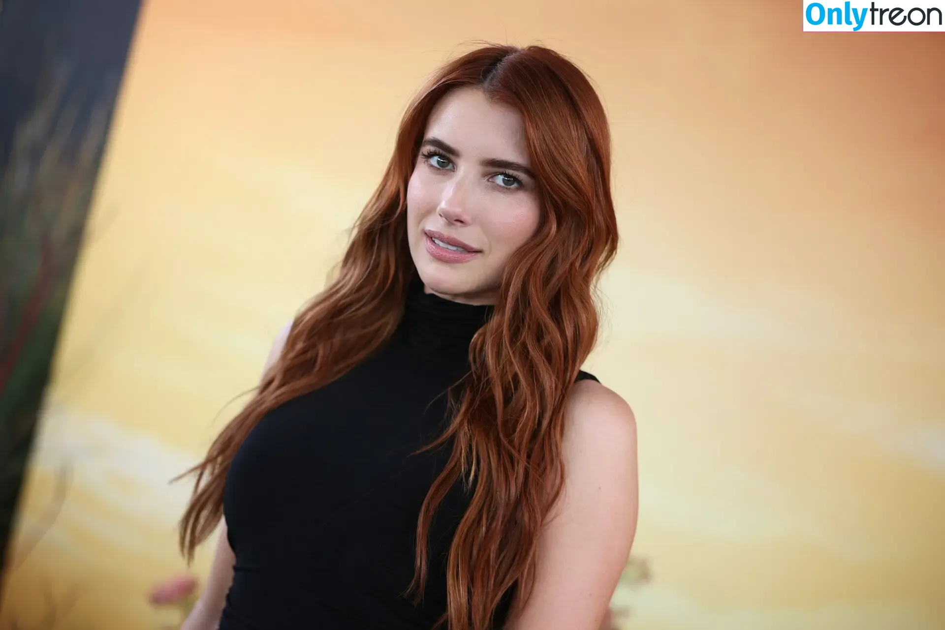 Emma Roberts голая photo #1665 (emmalee1996 / emmaroberts)