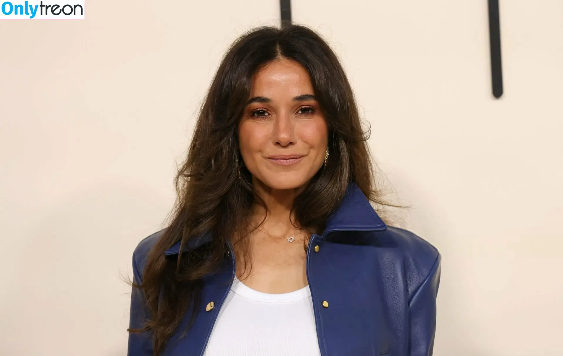 Emmanuelle Chriqui nude photo #1121 (Emmanuelle / echriqui)