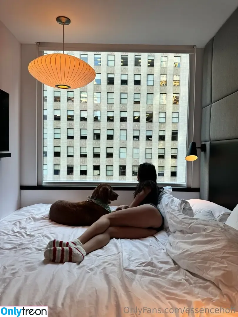 essencehoff голая photo #0005 (essencehoff)