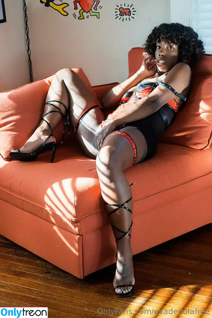 evadenolafree nude photo #0043 (evadenolafree)
