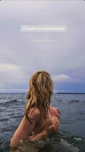evasindlerova / NeumimTweetovat nude photo #0002