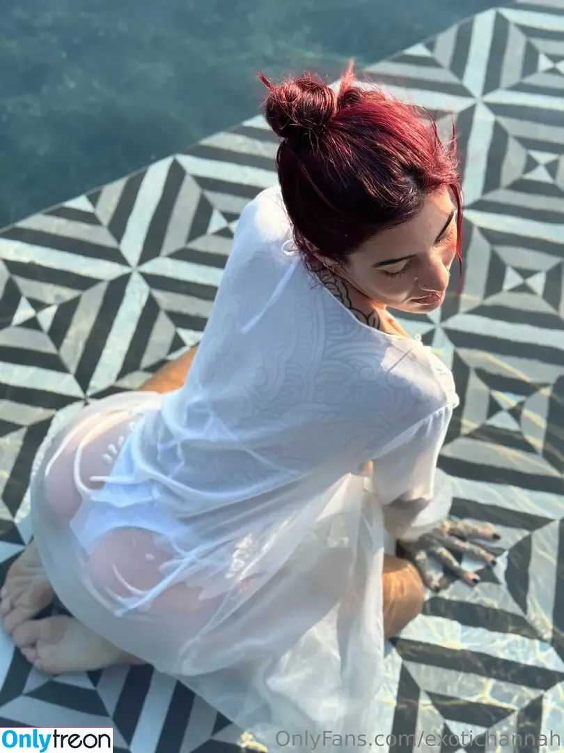 exotichannah nude photo #0055 (exotichannah)