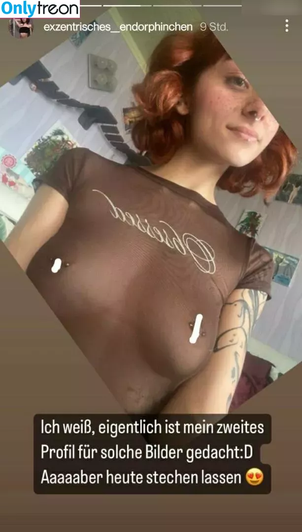exzentrisches__endorphinchen nude photo #0080 (exzentrisches__endorphinchen)