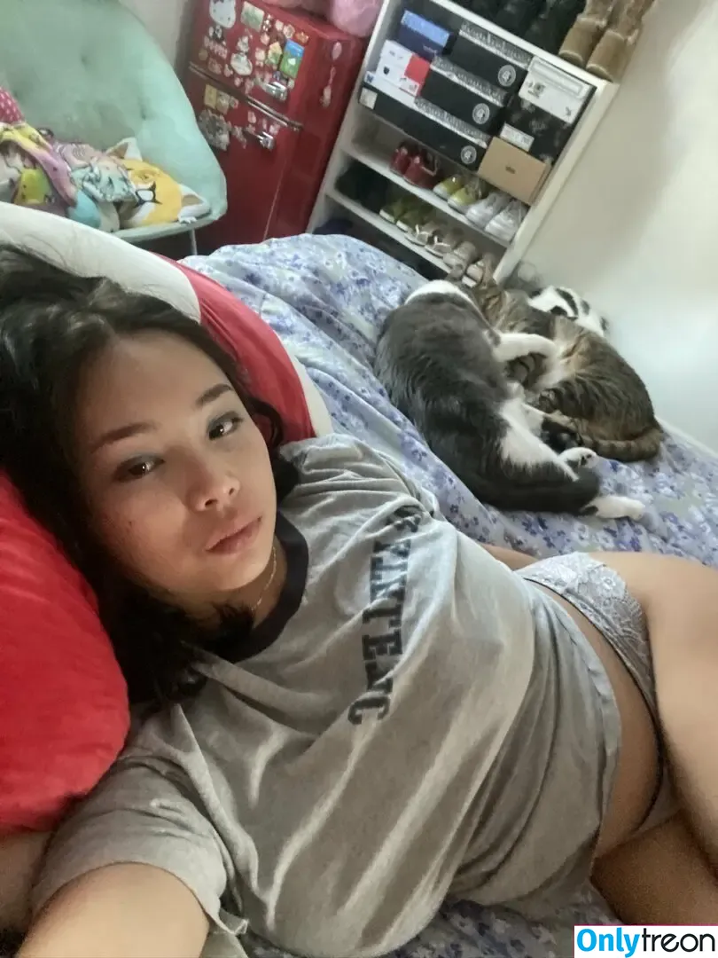 Fattestcat голая photo #0155 (anyuser / uwannacum2)