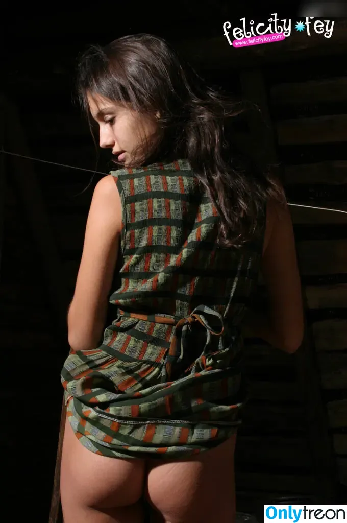 Felicity Fey голая photo #2407 (felicityfeypage)