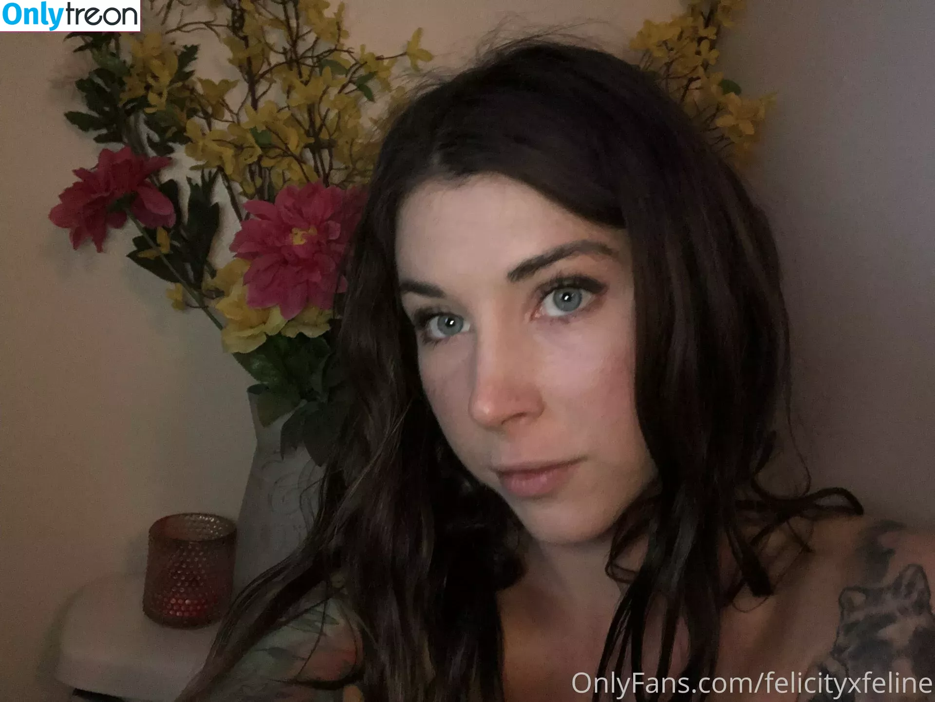 felicityfeline голая photo #0005 (felicityfelineofficial)