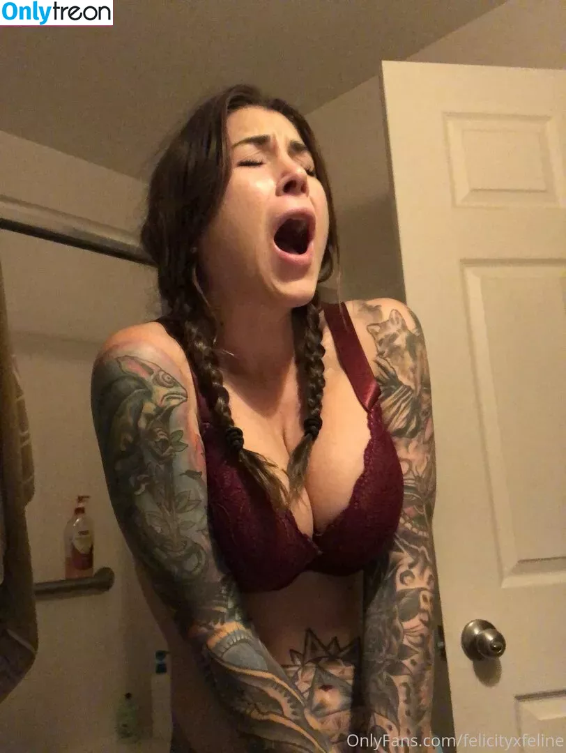 felicityfeline nude photo #0088 (felicityfelineofficial)