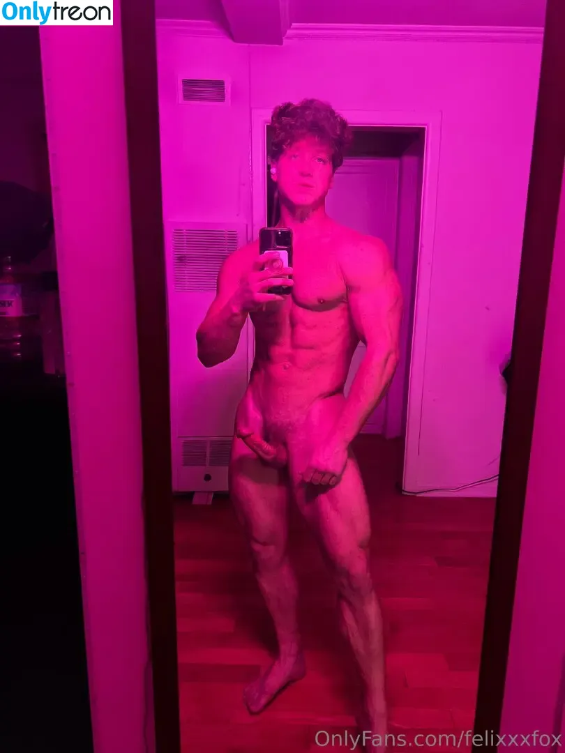 felixxxfox голая photo #0002 (myfelixfox)