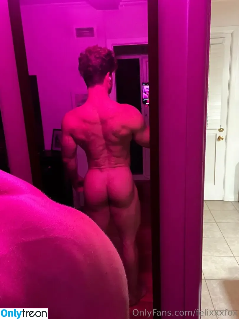 felixxxfox голая photo #0003 (myfelixfox)