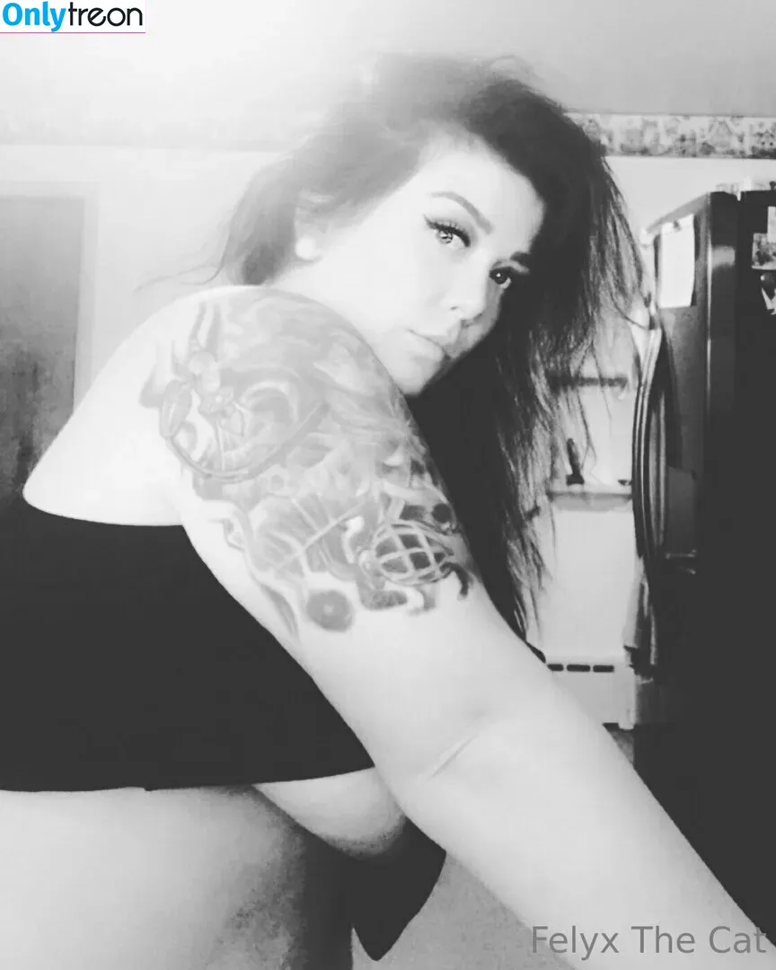 felyxfree nude photo #0161 (felyxfox)