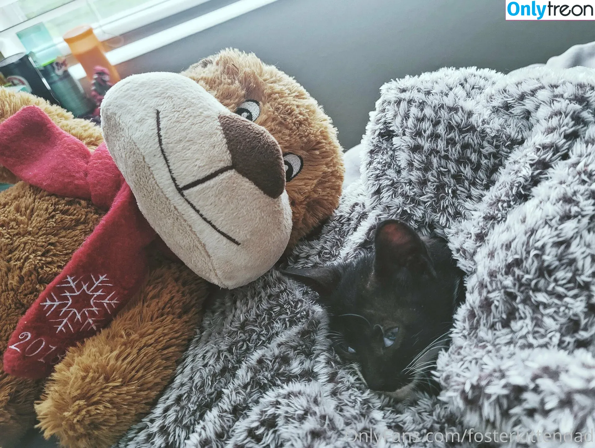 fosterkittendad голая photo #0066 (fosterkittendad)