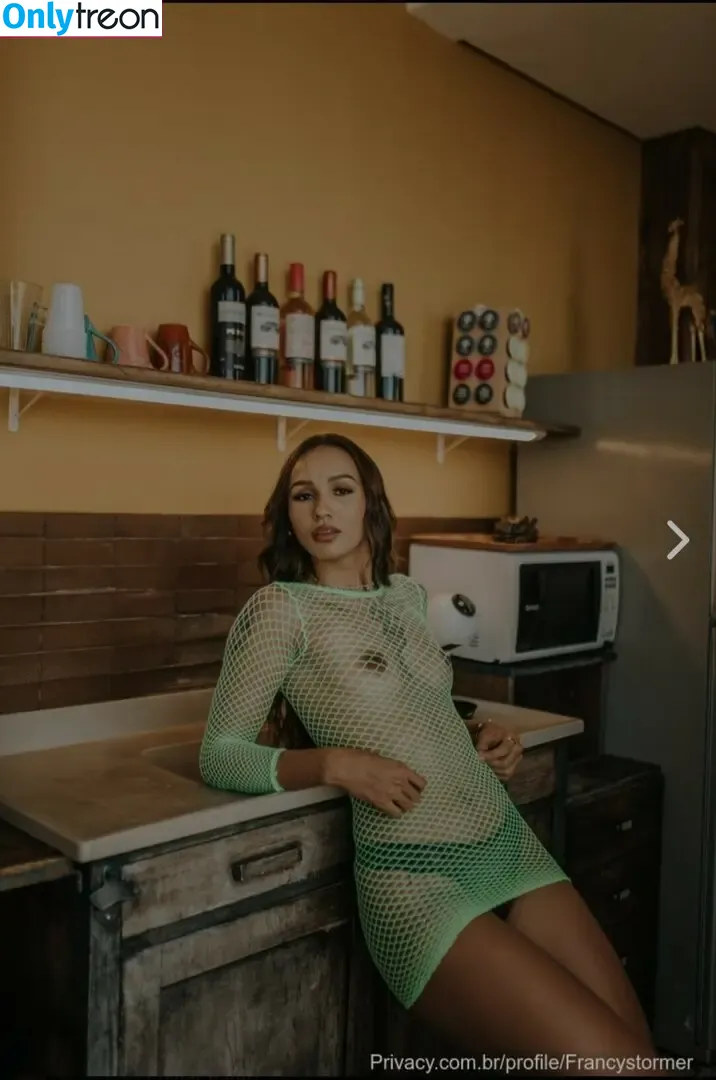 Francystormr nude photo #0006 (872944219 / FranStorm / Franciane Amorin / francystorm)