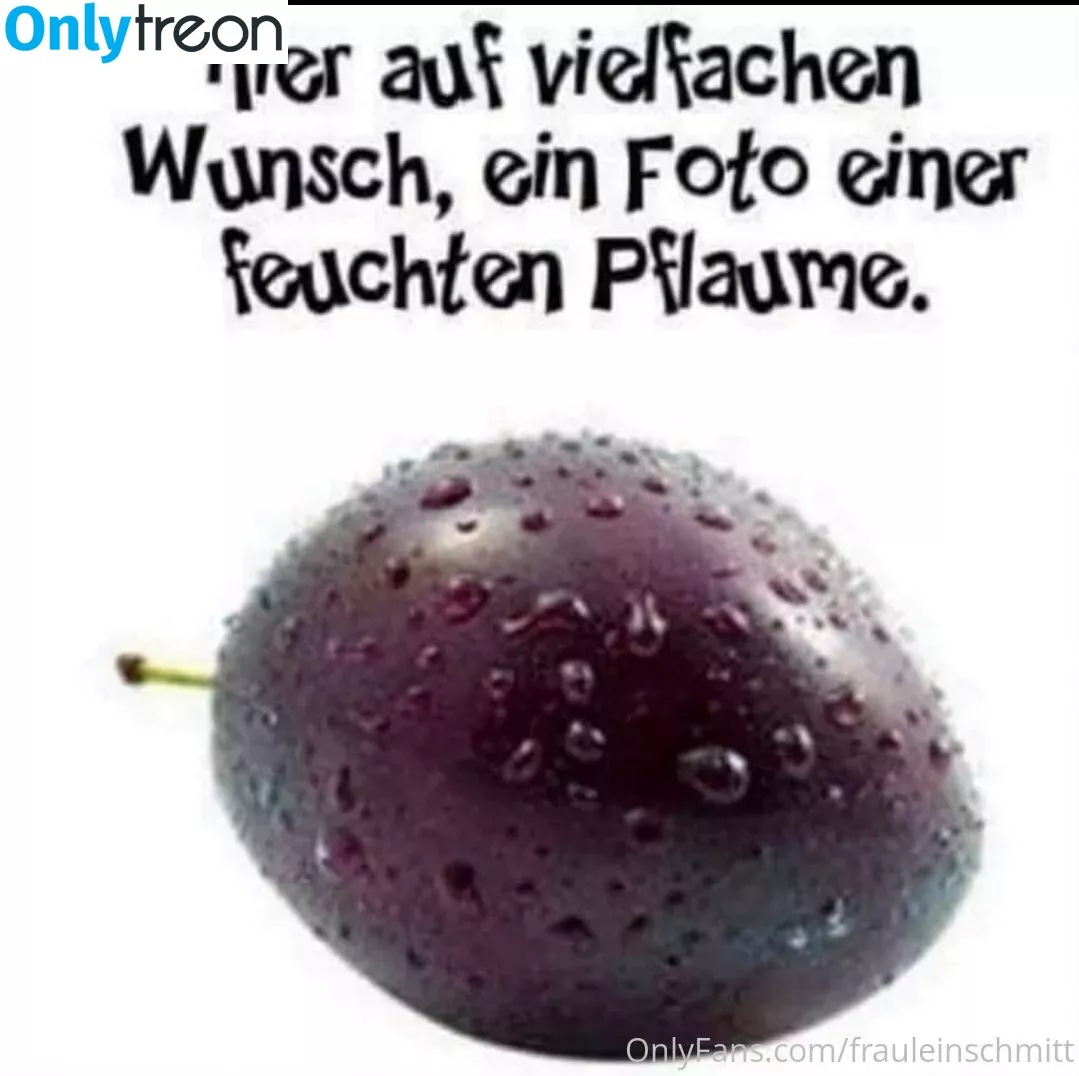frauleinschmittfree nude photo #0069 (f00d4th0t)