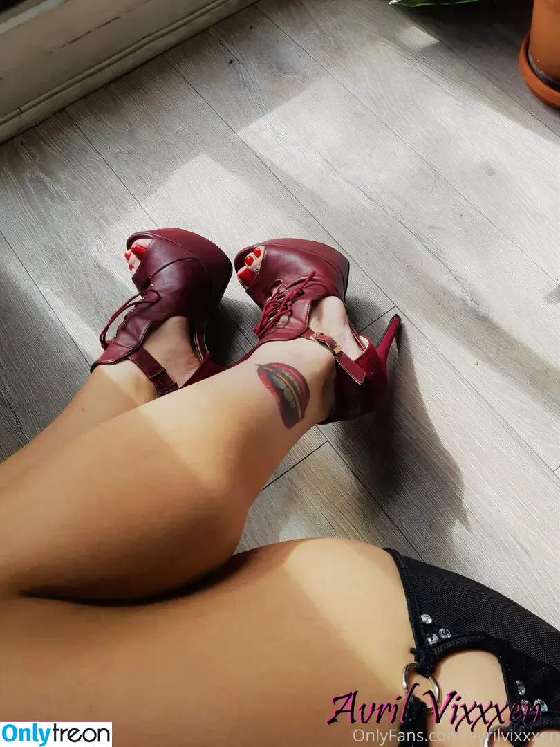 freeavrilvixxxen nude photo #0020 (vixxen_my_velash)