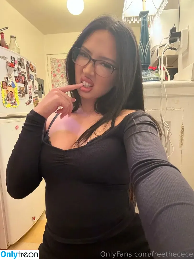 freethecece nude photo #0040 (thefreemoneyshow)