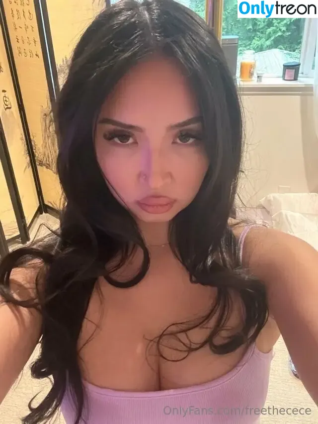freethecece nude photo #0050 (thefreemoneyshow)