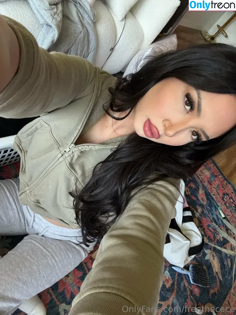 freethecece nude photo #0063 (thefreemoneyshow)