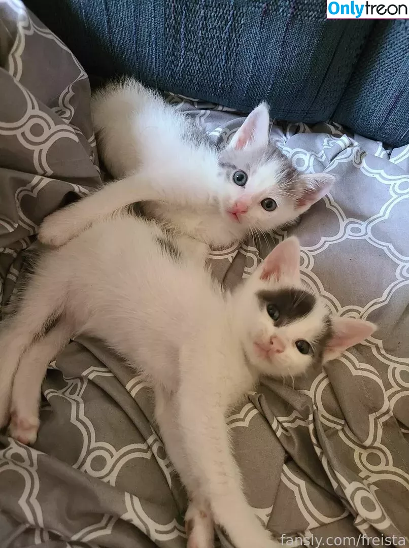 Freista голая photo #0023 (Tittykona / _mofreitas)