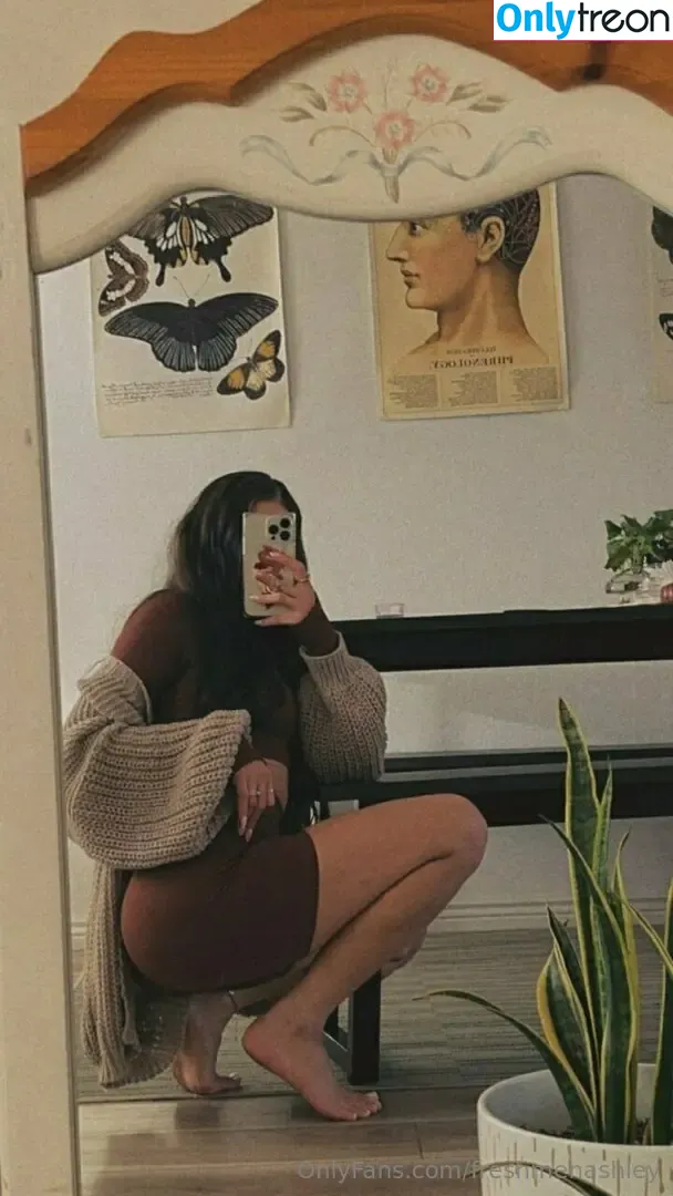 freshmenashley голая photo #1847 (heyitsmenashly)