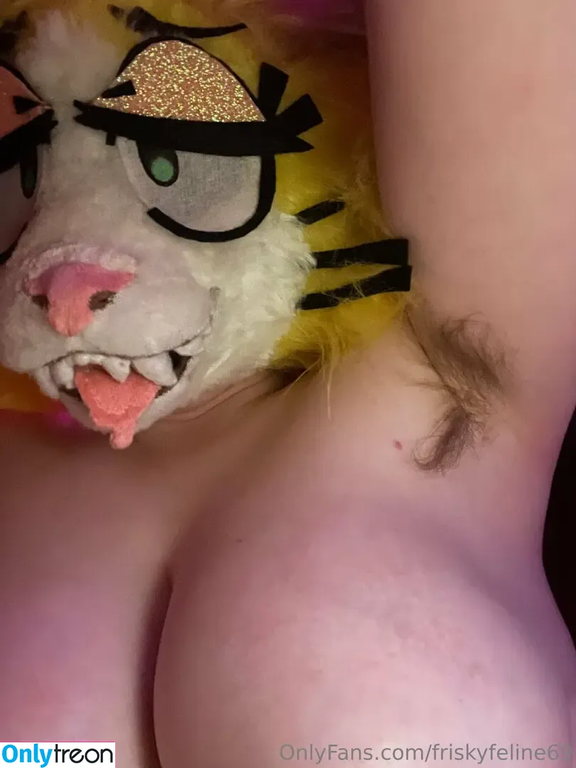 friskyfeline69 nude photo #0351 (0f6t)