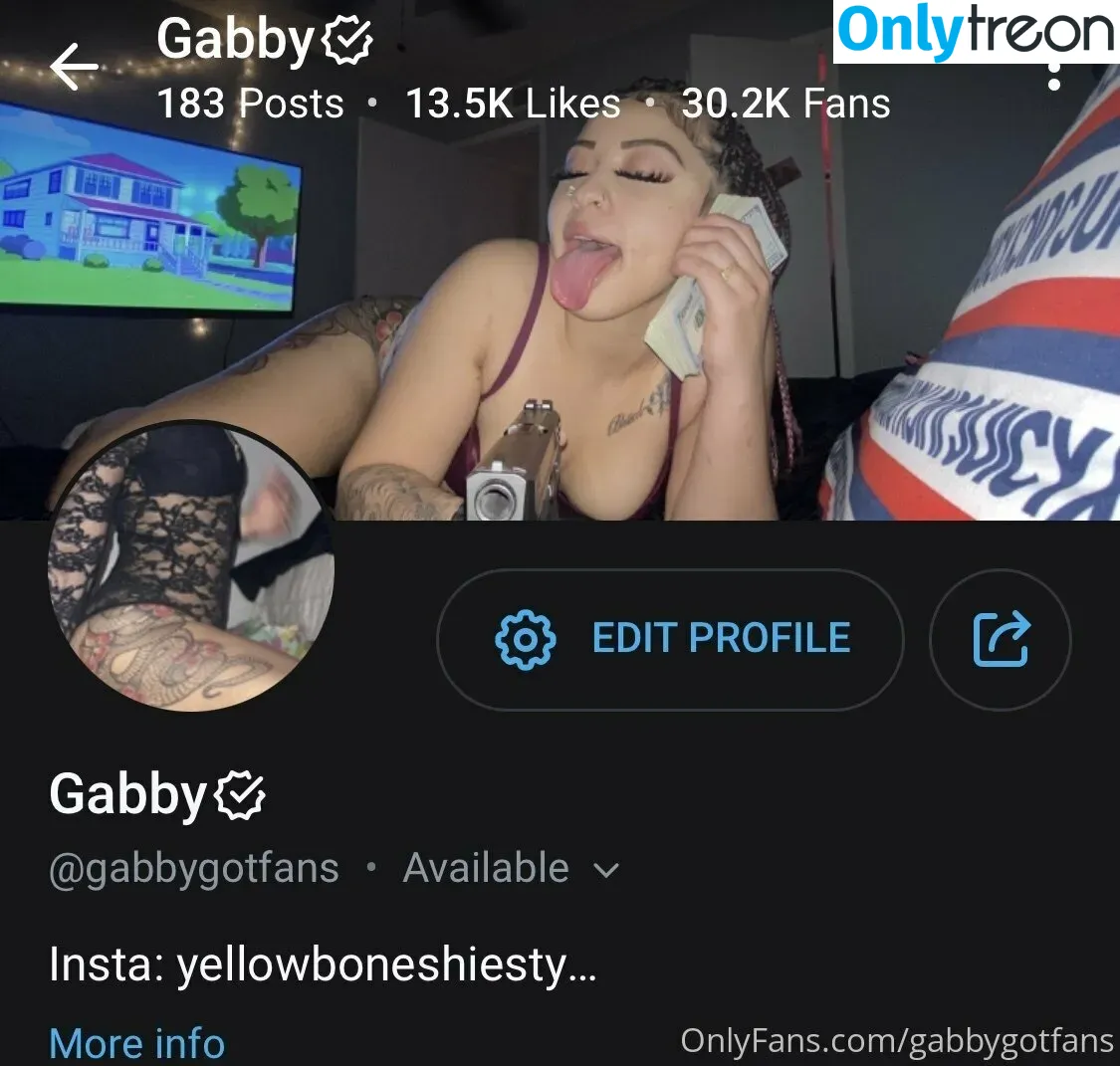 Gabbygotfans nude photo #0113 (_gabbygotfans)