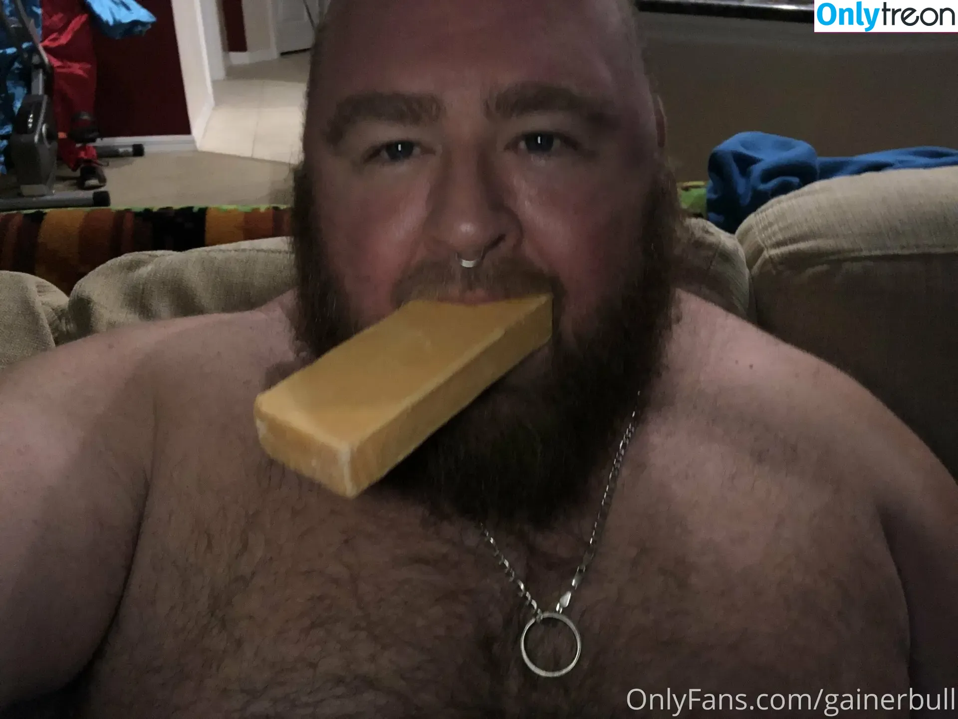 gainerbull nude photo #0230 (gainerbull)