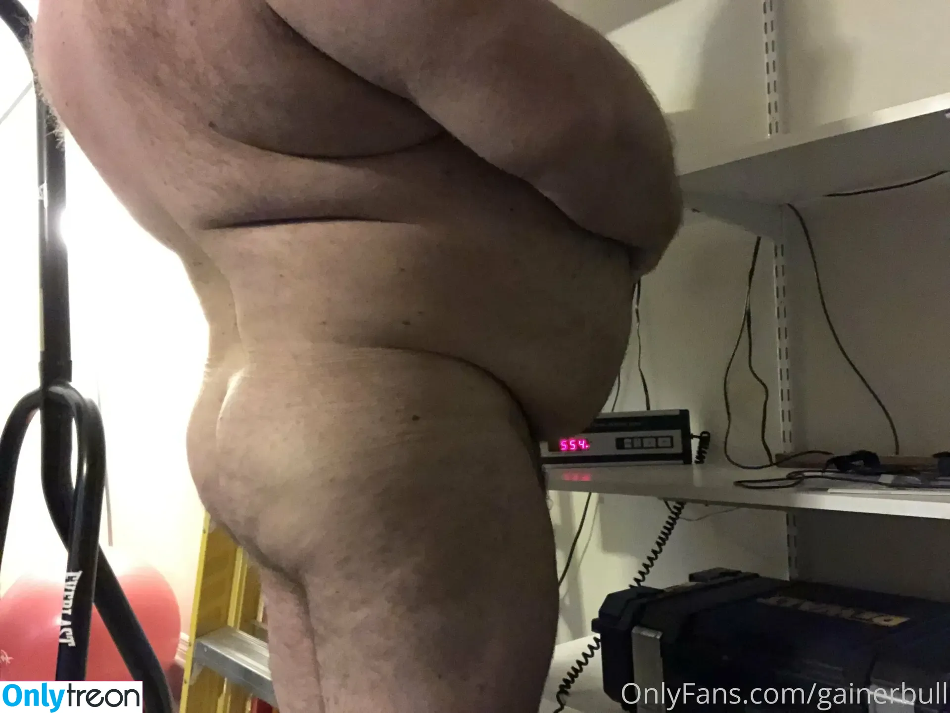 gainerbull голая photo #0337 (gainerbull)