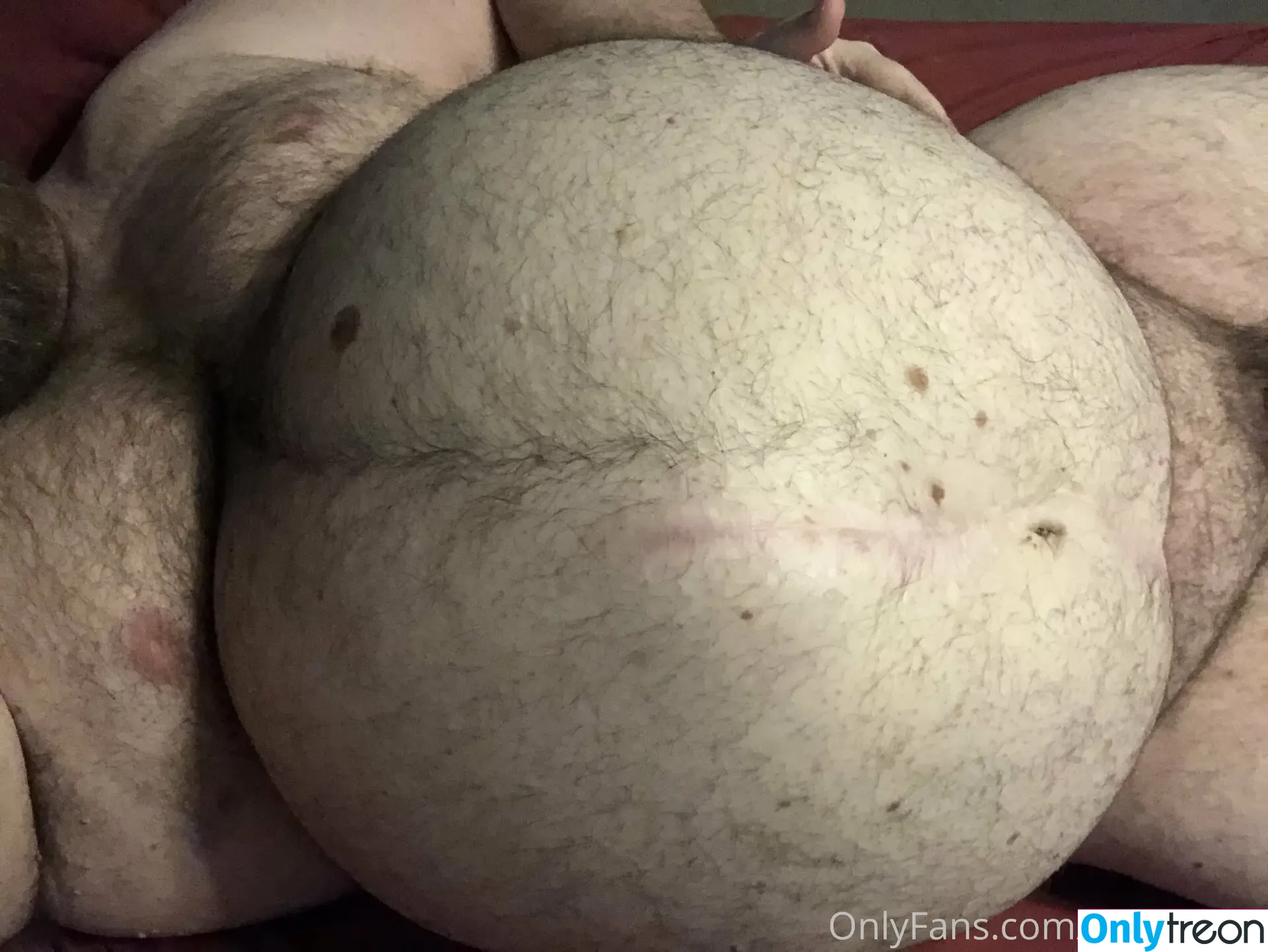 gainerbull nude photo #0360 (gainerbull)